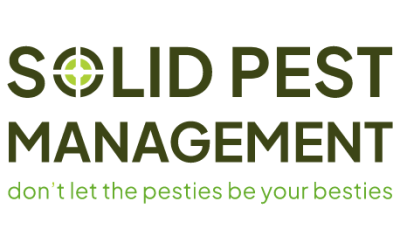 Unveiling Our New Digital Nest: A Six-Year Legacy of Excellence in Pest Management